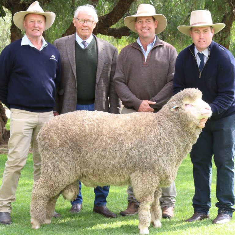 HR SINGLE RAM WITH 4 PEOPLE