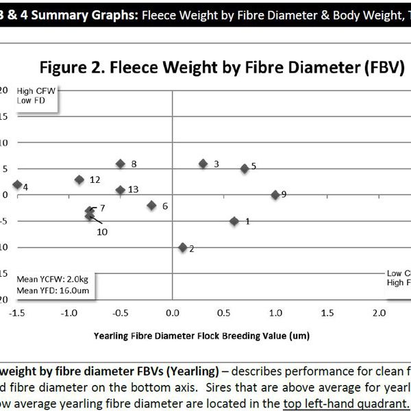fleece-weight-vs-fibre-diameter