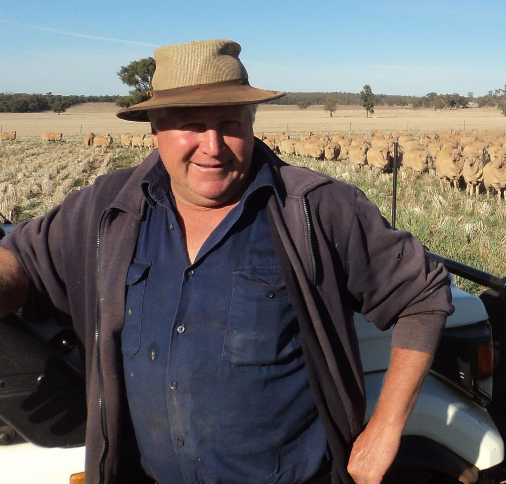 West Wyalong Sheep Breeders Sale AFA Australian Food & Agriculture