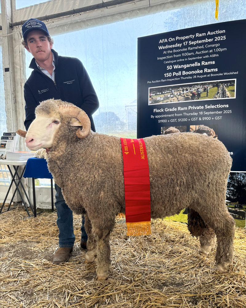W242433-RES-CHAMP-ALL-PURPOSE-RAM-BENDIGO-2025